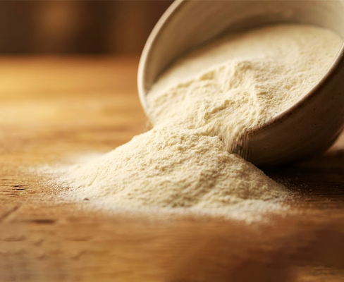 Demineralized Whey Powders